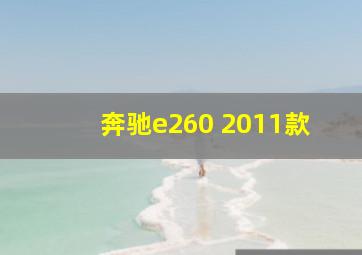 奔驰e260 2011款